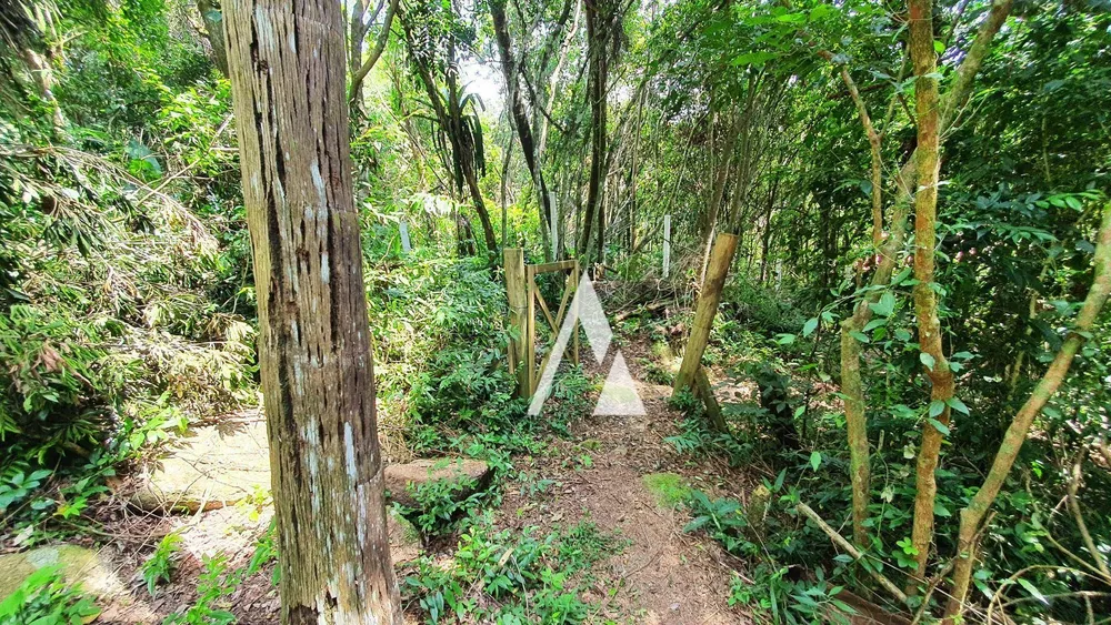 Terreno, 3418 m² - Foto 17