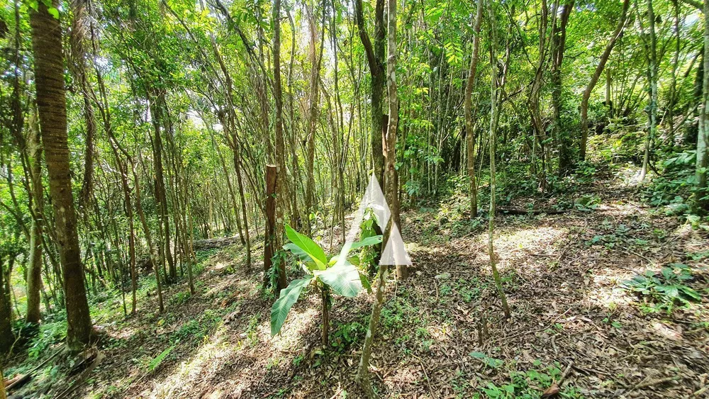 Terreno, 3418 m² - Foto 33