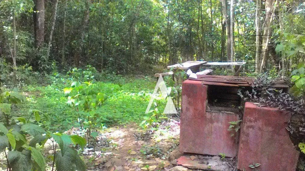 Terreno, 17 hectares - Foto 4