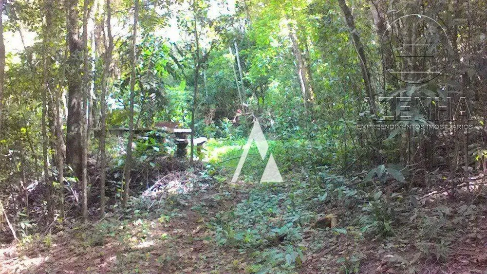 Terreno, 17 hectares - Foto 2