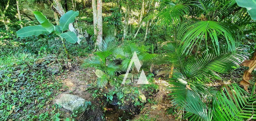 Chácara, 3 quartos, 3989 m² - Foto 39