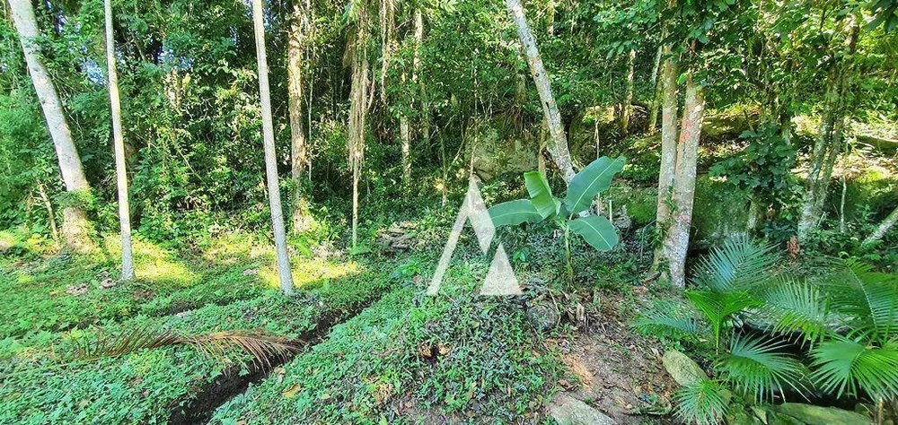 Chácara, 3 quartos, 3989 m² - Foto 38