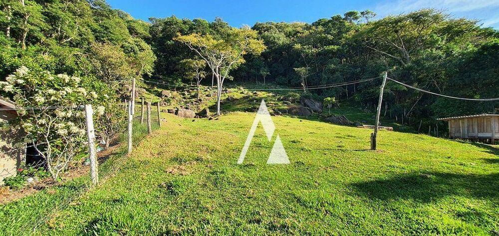 Chácara, 3 quartos, 3989 m² - Foto 3