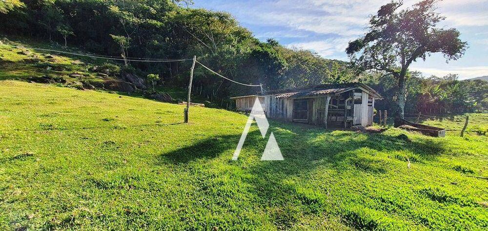 Chácara, 3 quartos, 3989 m² - Foto 4