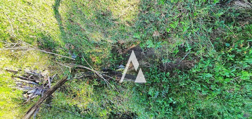 Chácara, 3 quartos, 3989 m² - Foto 7