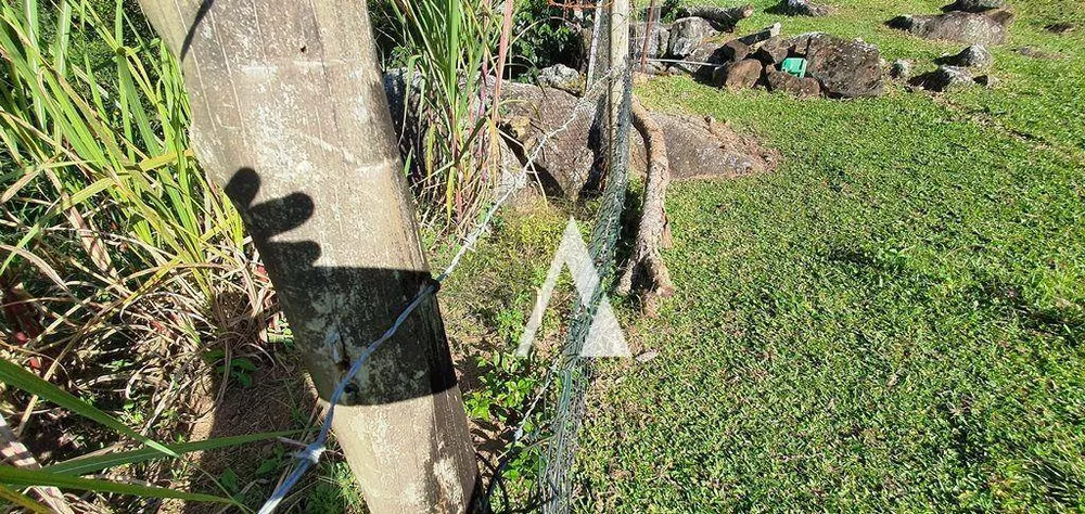 Chácara, 3 quartos, 3989 m² - Foto 6