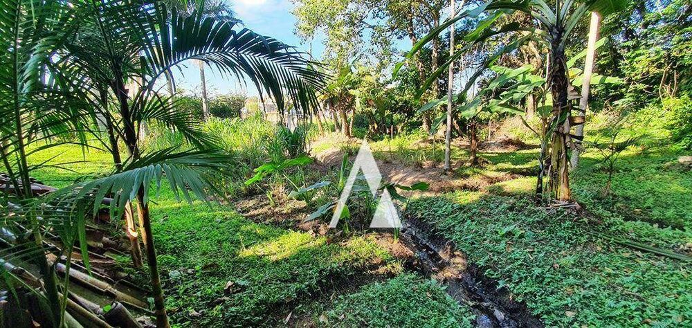 Chácara, 3 quartos, 3989 m² - Foto 37