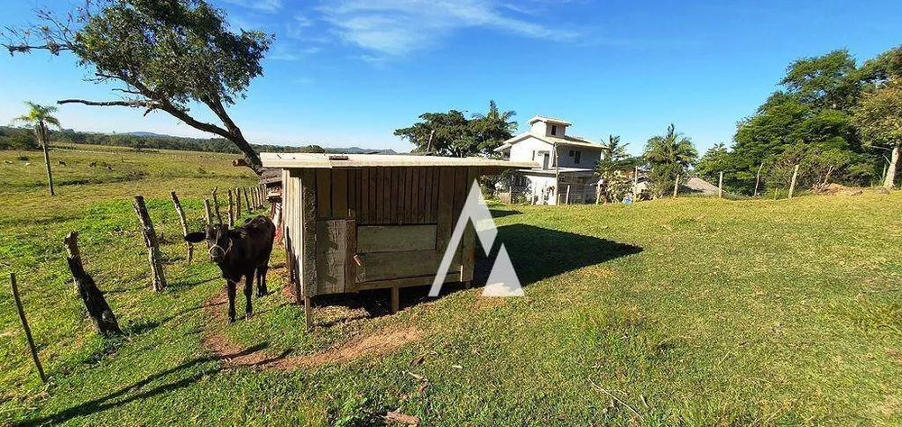 Chácara, 3 quartos, 3989 m² - Foto 8