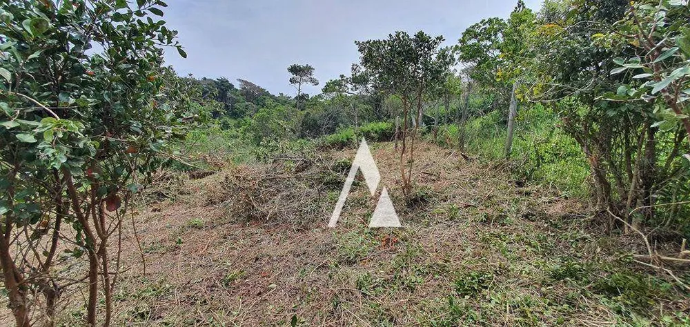 Loteamento e Condomínio, 1240 m² - Foto 2