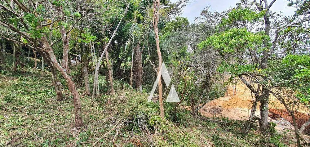 Loteamento e Condomínio, 1240 m² - Foto 3