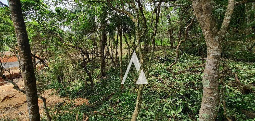 Loteamento e Condomínio, 1240 m² - Foto 16