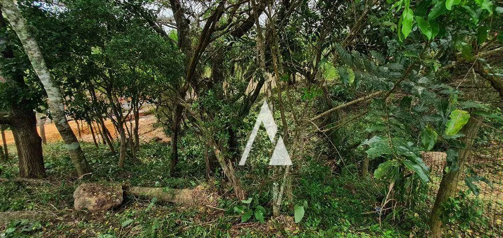 Loteamento e Condomínio, 1240 m² - Foto 15
