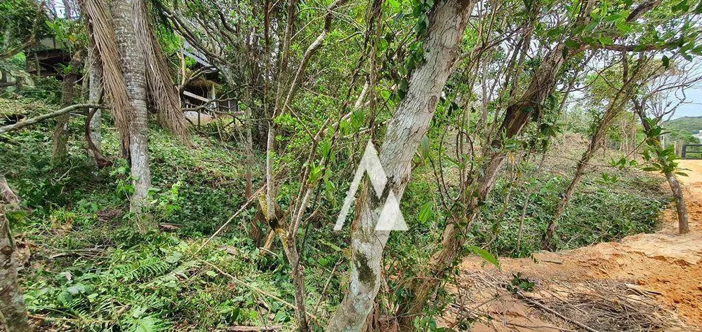 Loteamento e Condomínio, 1240 m² - Foto 5