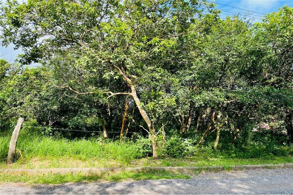 Loteamento e Condomínio - Foto 4