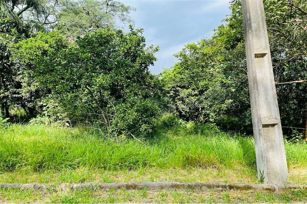 Loteamento e Condomínio - Foto 1