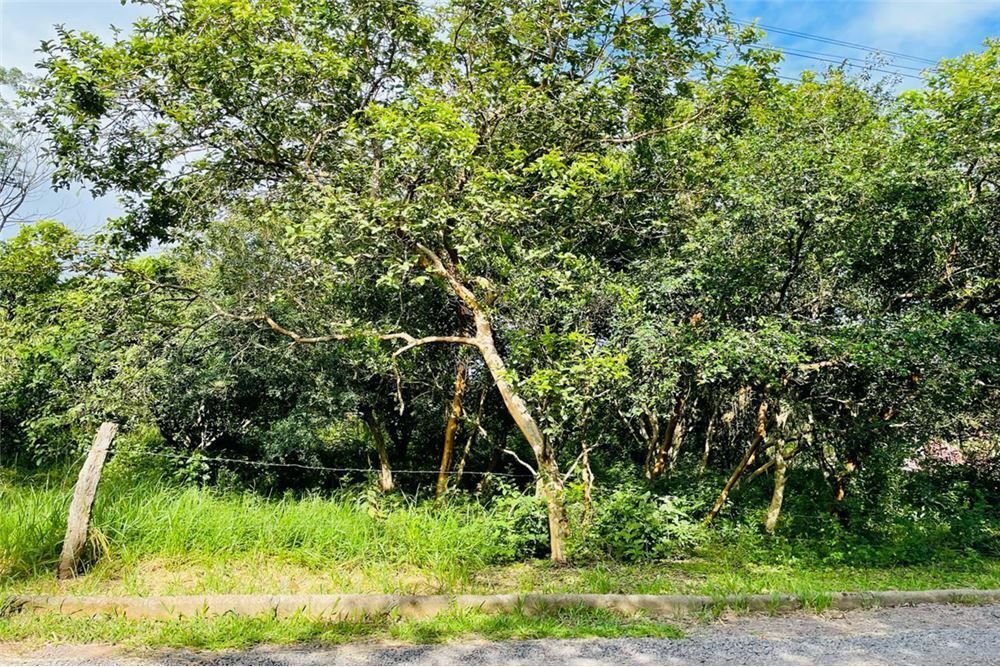 Loteamento e Condomínio - Foto 3