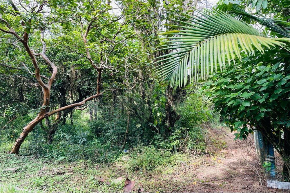 Loteamento e Condomínio - Foto 2