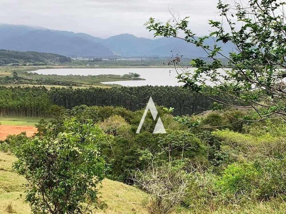 Terreno, 2 hectares - Foto 3