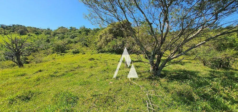 Terreno, 2 hectares - Foto 14