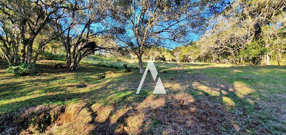 Terreno, 2 hectares - Foto 7