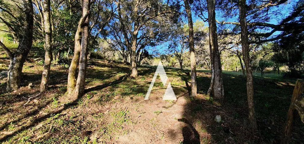 Terreno, 2 hectares - Foto 6