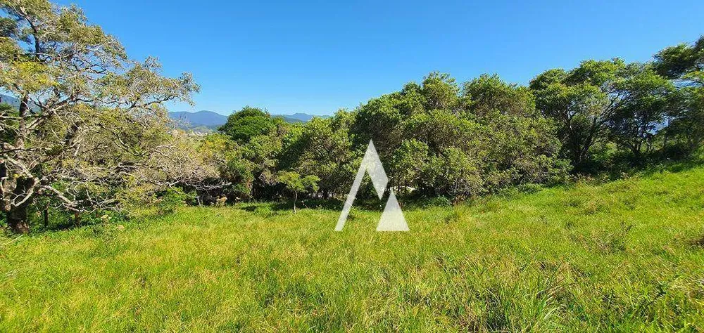 Terreno, 2 hectares - Foto 16