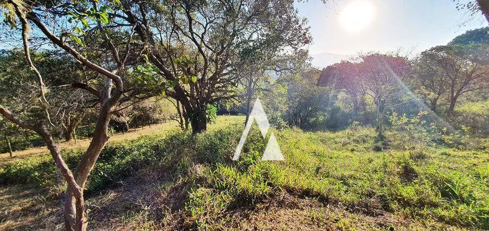Terreno, 2 hectares - Foto 9