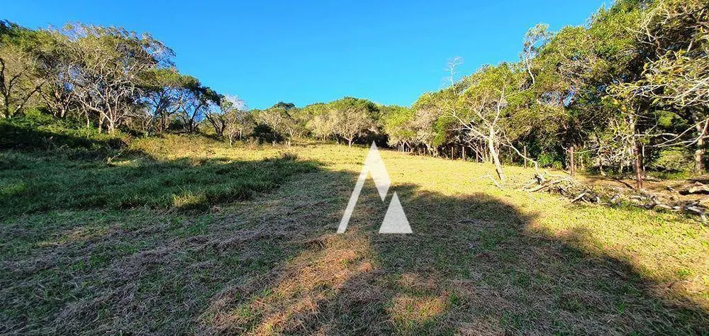 Terreno, 2 hectares - Foto 8
