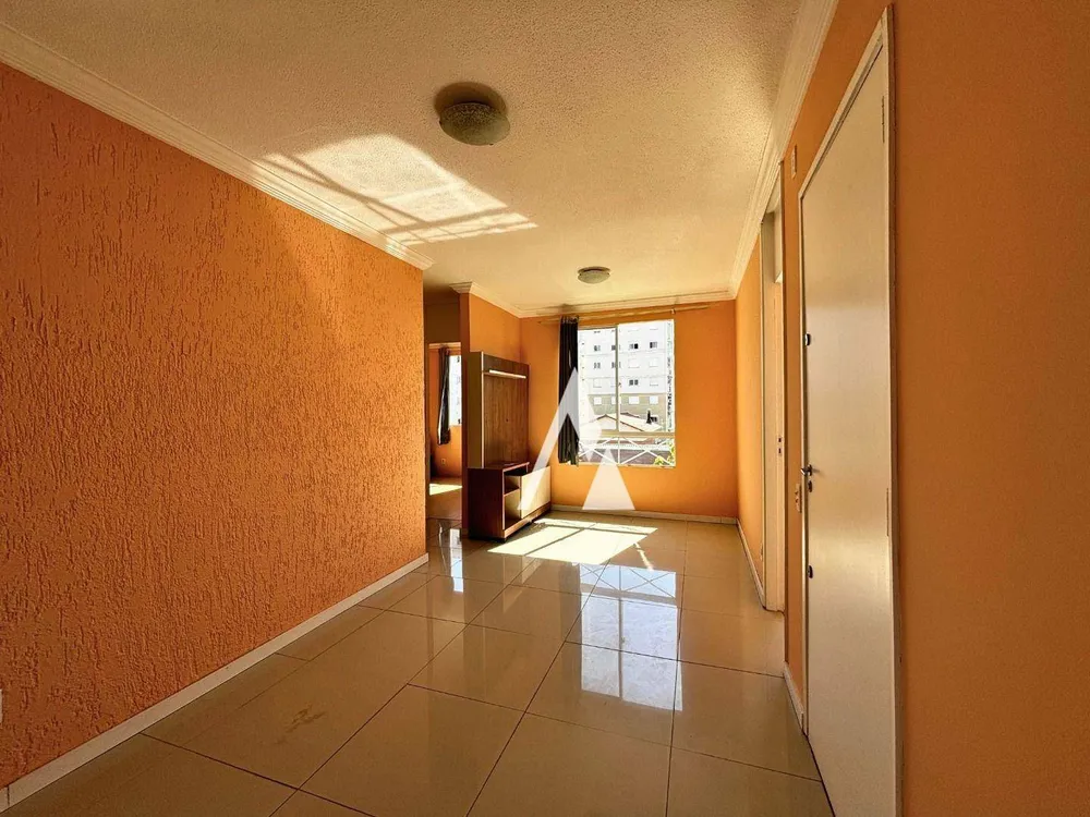 Apartamento, 3 quartos, 50 m² - Foto 7