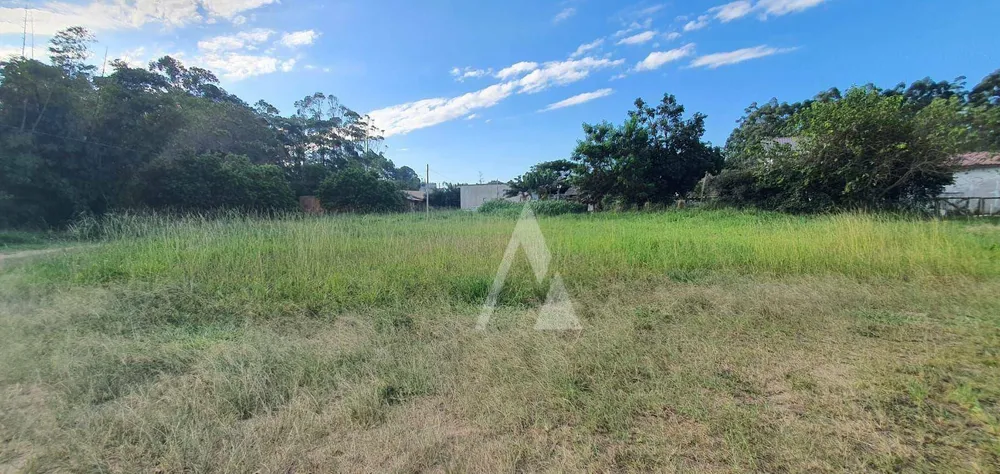 Terreno, 2146 m² - Foto 9