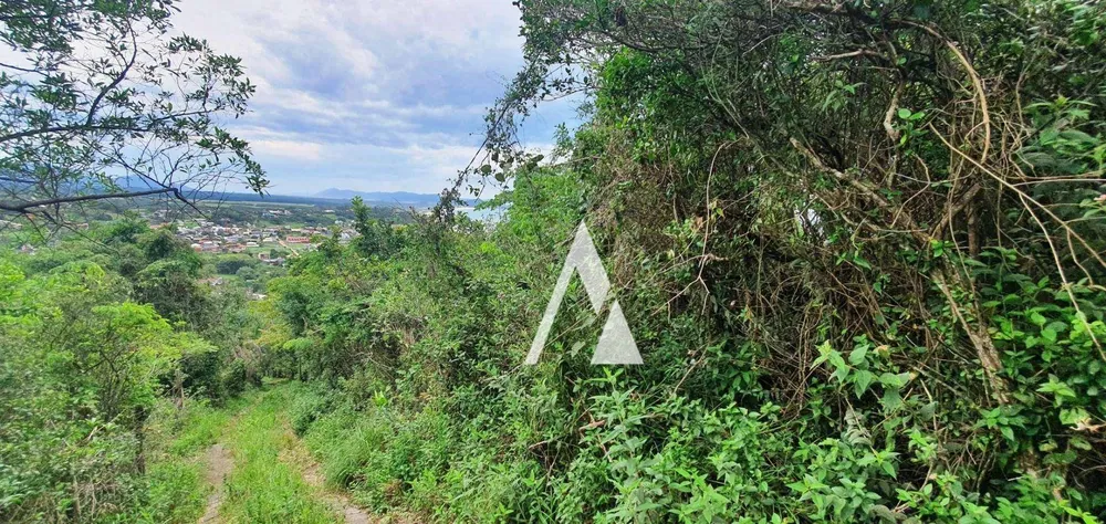 Terreno, 1821 m² - Foto 4
