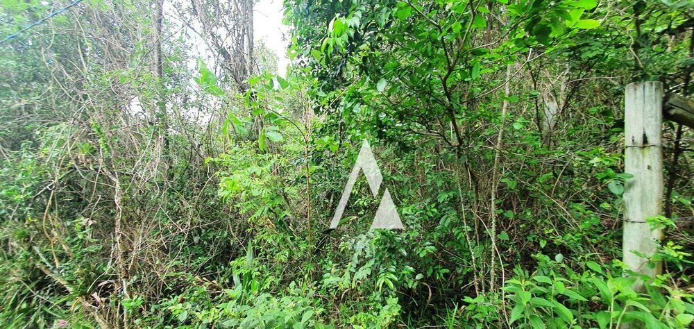 Terreno, 1821 m² - Foto 4