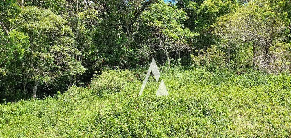 Terreno, 2 hectares - Foto 6
