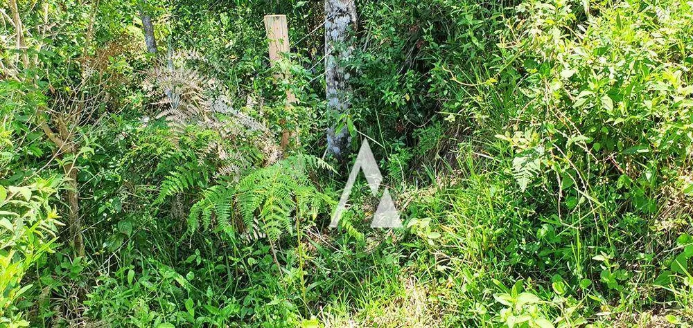 Terreno, 2 hectares - Foto 1