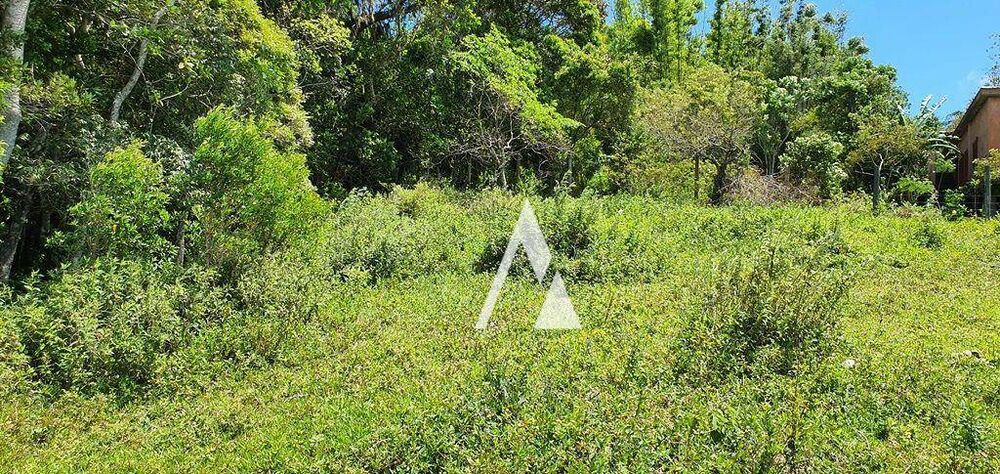 Terreno, 2 hectares - Foto 10
