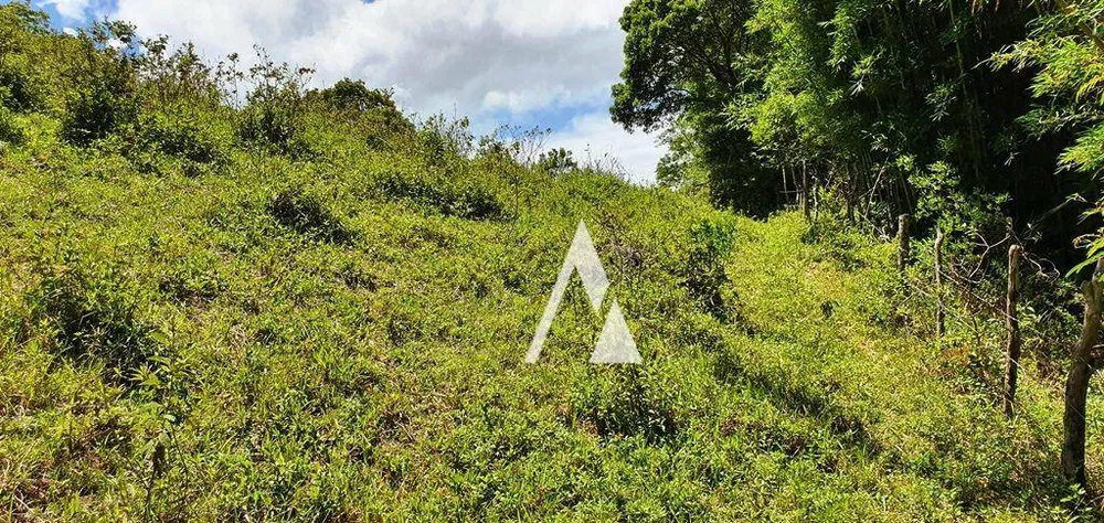 Terreno, 2 hectares - Foto 12