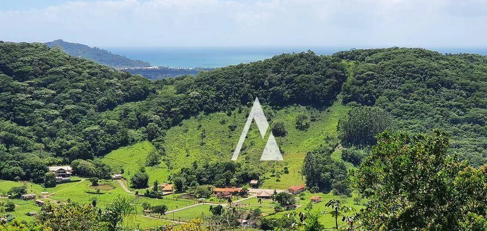 Terreno, 2 hectares - Foto 2