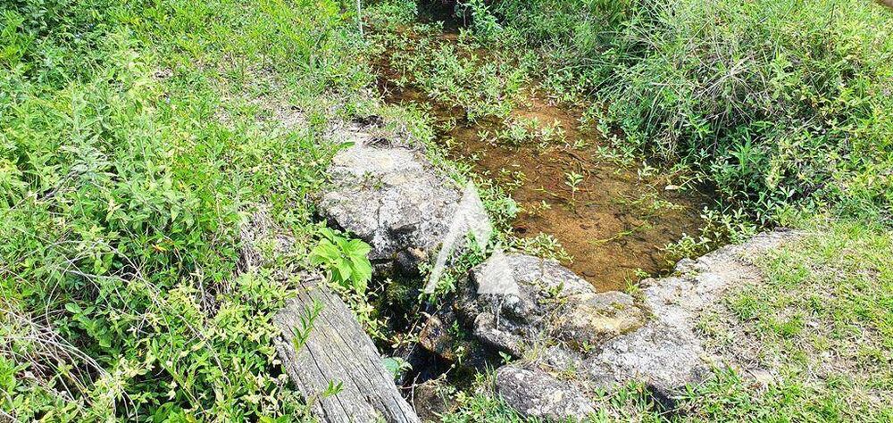 Terreno, 2 hectares - Foto 12