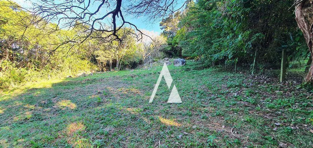 Terreno, 1031 m² - Foto 13
