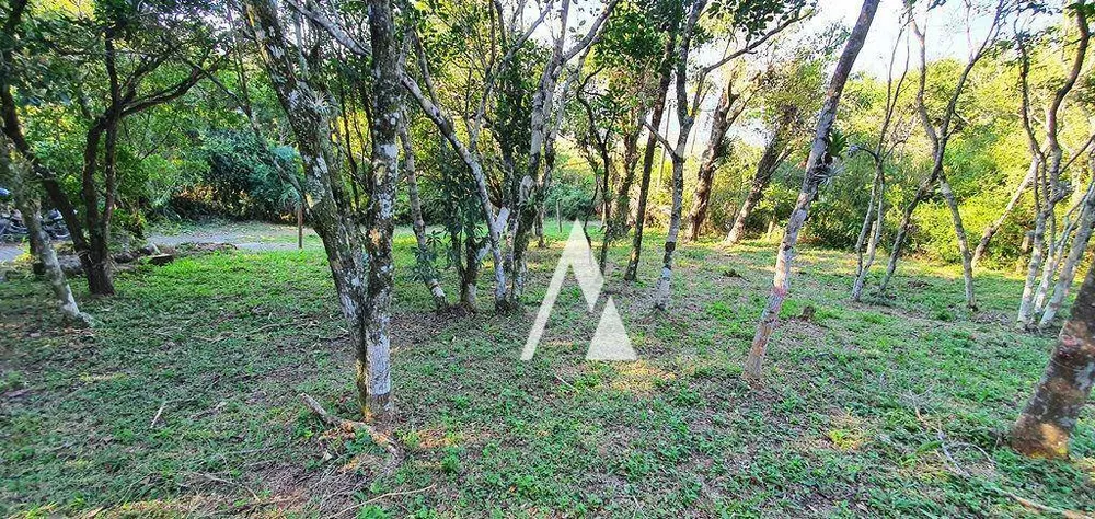 Terreno, 1031 m² - Foto 1