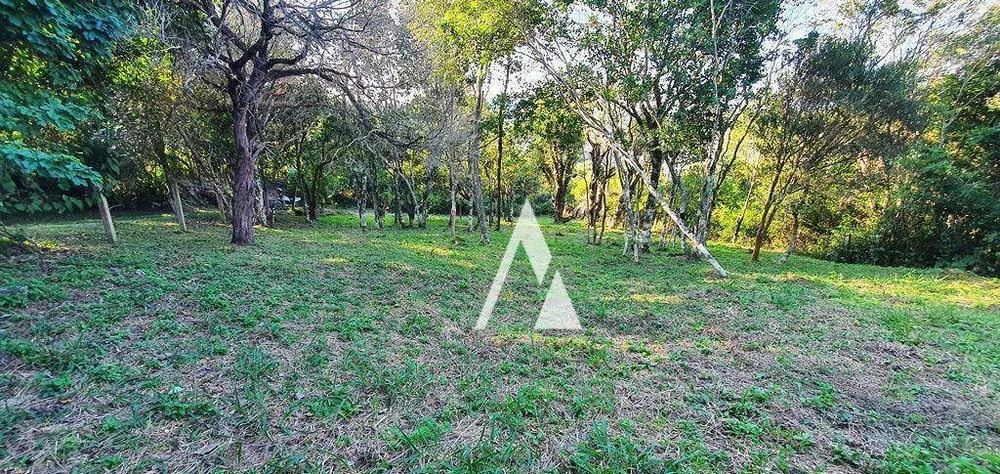 Terreno, 1031 m² - Foto 8