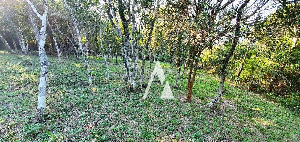 Terreno, 1031 m² - Foto 3