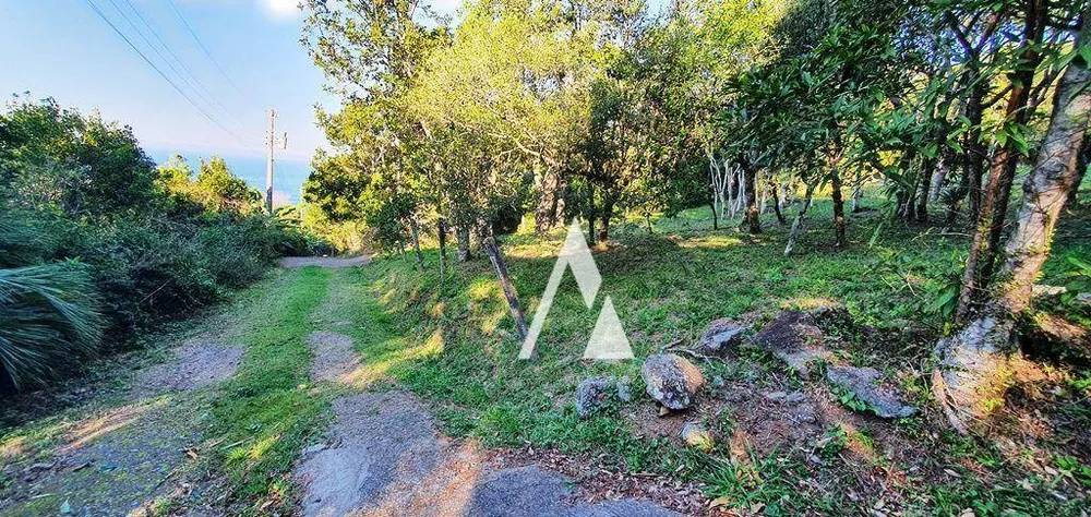 Terreno, 1031 m² - Foto 7