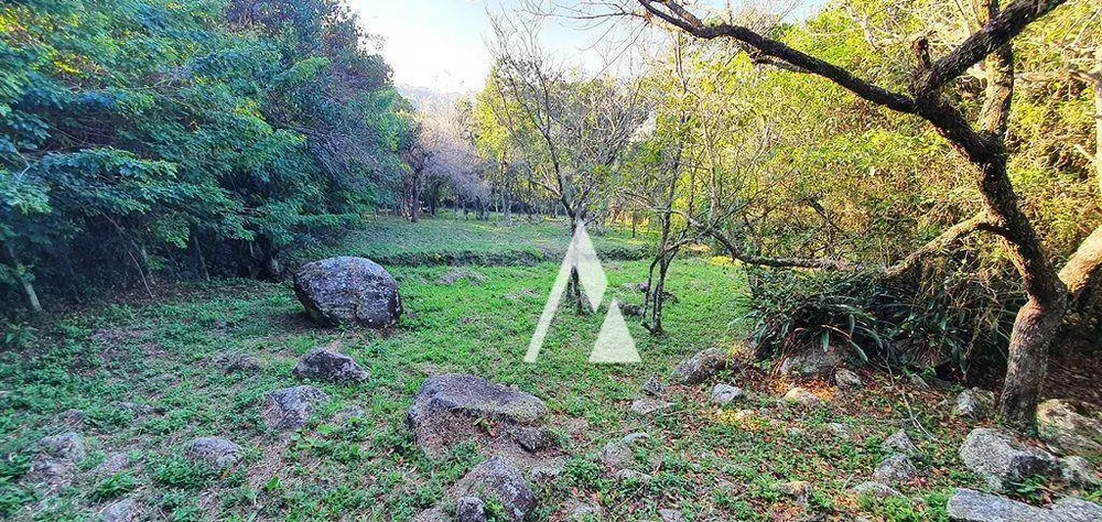 Terreno, 1031 m² - Foto 10