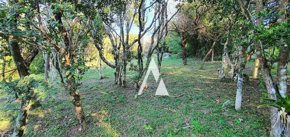 Terreno, 1031 m² - Foto 6