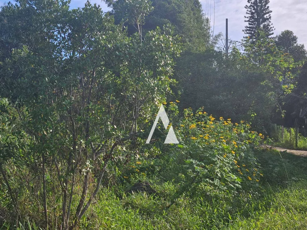 Terreno, 5410 m² - Foto 11