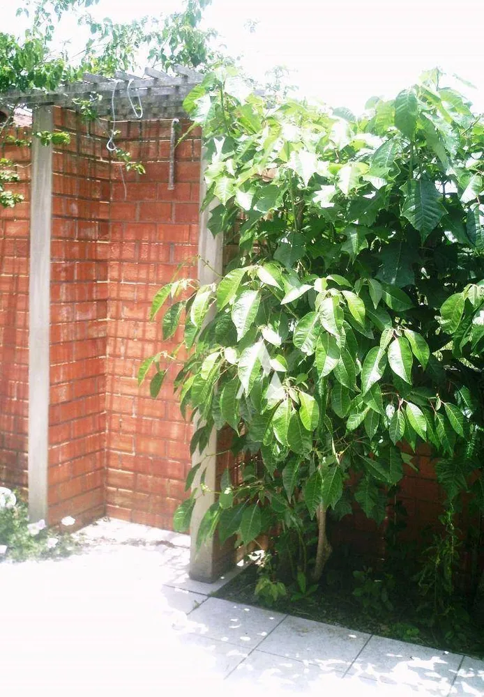 Casa, 3 quartos, 130 m² - Foto 3