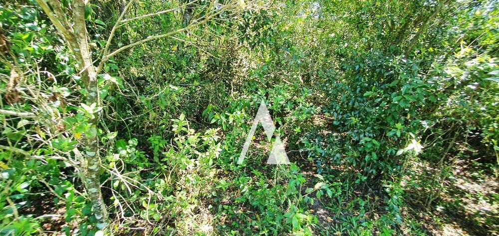 Loteamento e Condomínio, 1 hectares - Foto 17