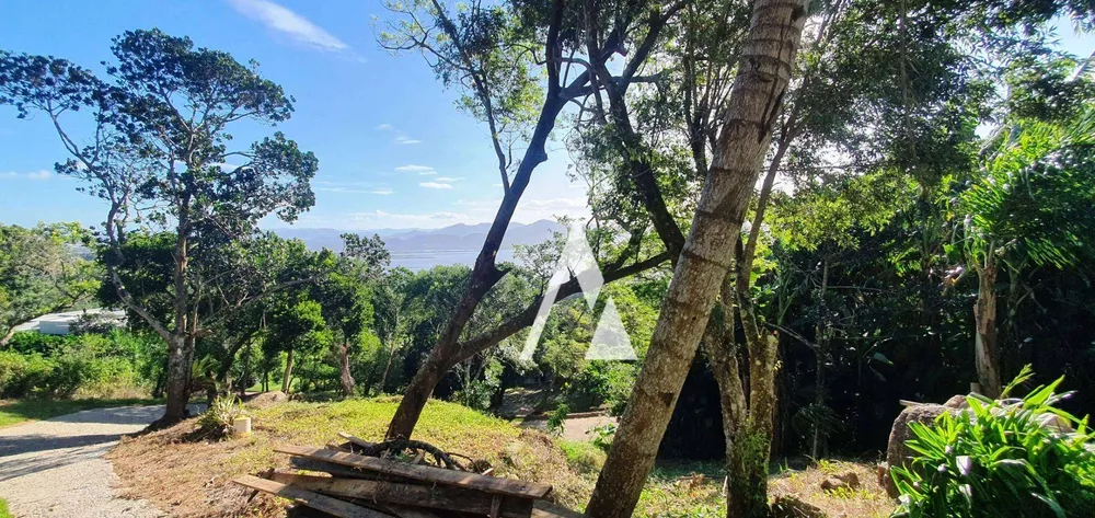 Loteamento e Condomínio, 2288 m² - Foto 8