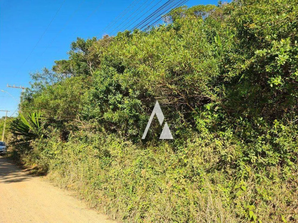 Terreno, 6138 m² - Foto 7